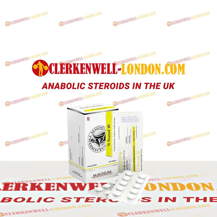 Magnum Stanol 10