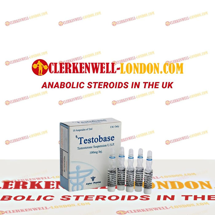 Testobase
