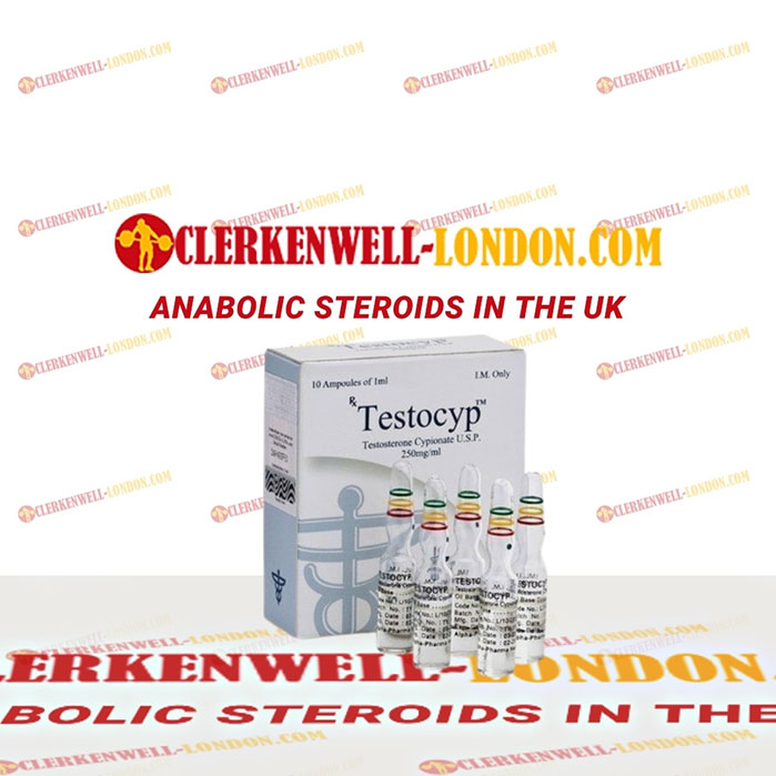 Testocyp