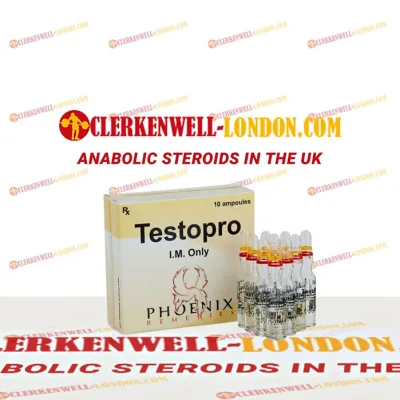 Testopro (ampoules)